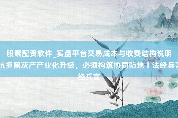 股票配资软件_实盘平台交易成本与收费结构说明 抗拒黑灰产产业化升级，必须构筑协同防地丨法经兵言