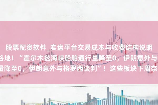 股票配资软件_实盘平台交易成本与收费结构说明 突发！以军空袭贝卡谷地！“霍尔木兹海峡船舶通行量降至0，伊朗意外与格罗西谈判”！这些板块下周奈何走？