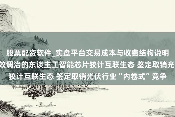 股票配资软件_实盘平台交易成本与收费结构说明 工信部：加速构建高效调治的东谈主工智能芯片狡计互联生态 鉴定取销光伏行业“内卷式”竞争
