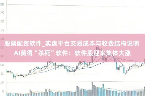 股票配资软件_实盘平台交易成本与收费结构说明 AI莫得“杀死”软件:软件股迎来集体大涨